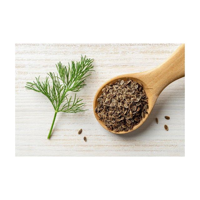 Dill Seed Image 1