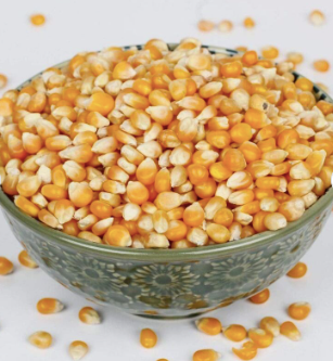 Dry Corn Maize