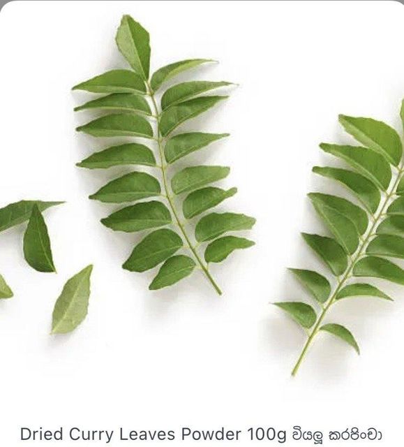 Curry Leaves Powder Image 2
