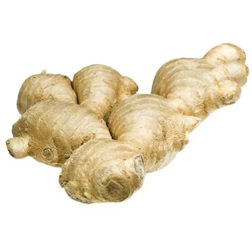 Premium Fresh Ginger 1