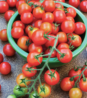 Fresh Tomato