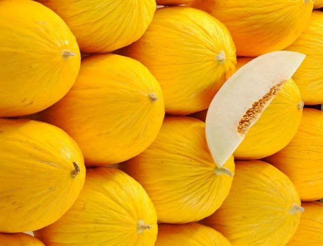 Fresh Melon Yellow Premium Canary Product