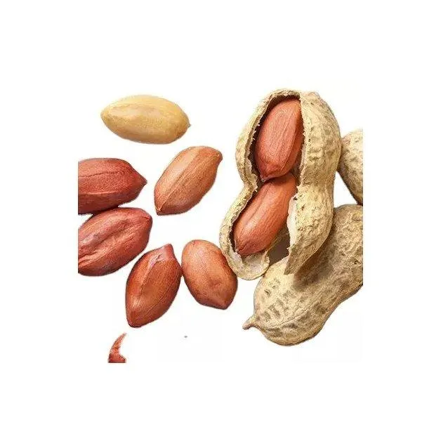 Peanuts - Fresh & Nutritious