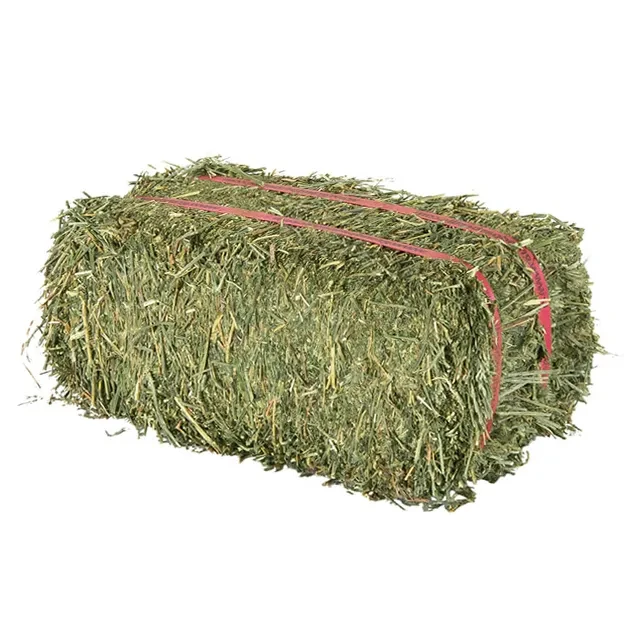 High Protein Forage Feed – Alfalfa Hay