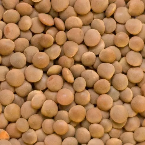 Dried Lentils Product Image 3
