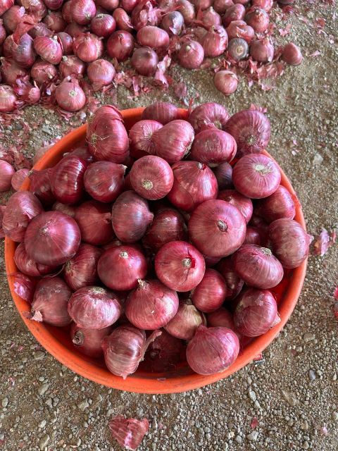 Fresh Red Onion