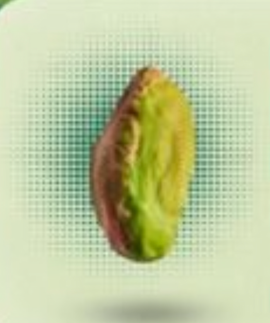 Fresh Green Peeled Pistachio Kernels Image 1
