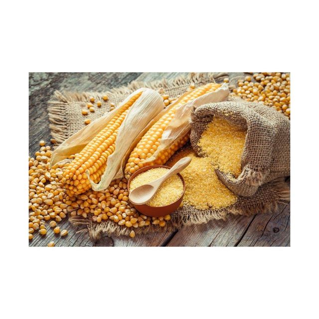 Corn Starch Maize Flour - Quality Check