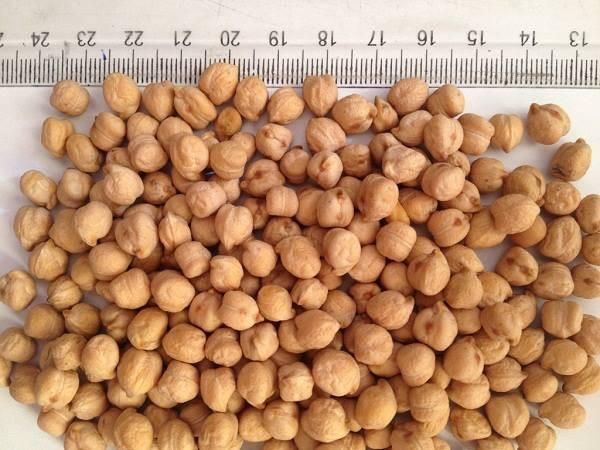 Kabuli Chickpeas - Dry and Cracked