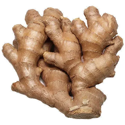 High Quality Ginger