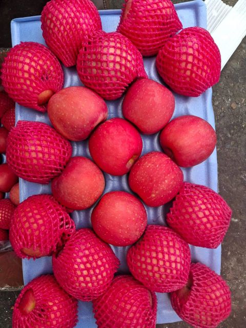 Gala Apples
