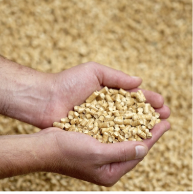 Wood Pellet Storage and Handling