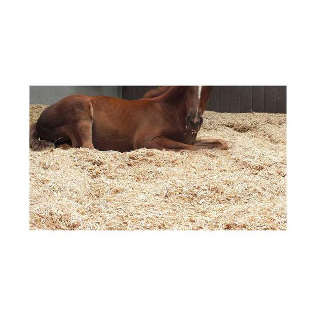 Pine Sawdust - Horse & Poultry Use