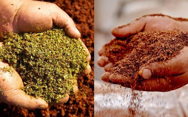 Organic Rooibos Tea loose leaves