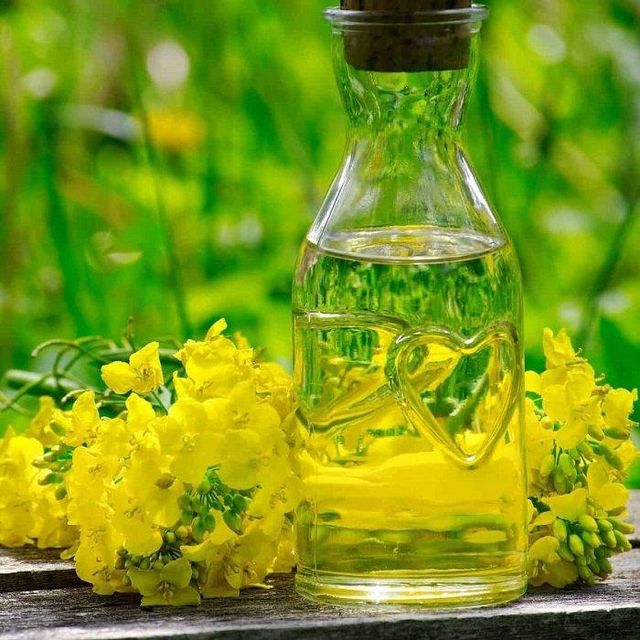 Natural Organic Fractionated Refined Canola Oil