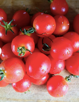 Fresh Red Tomato