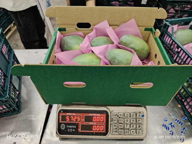 Mango Kit Product Image 1