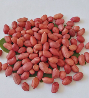 Natural Peanuts Kernel