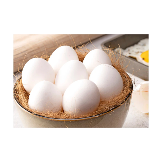 Fresh White Egg from Belgium