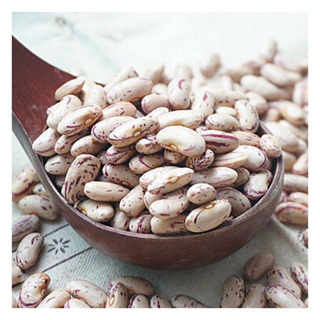 Sugar Beans