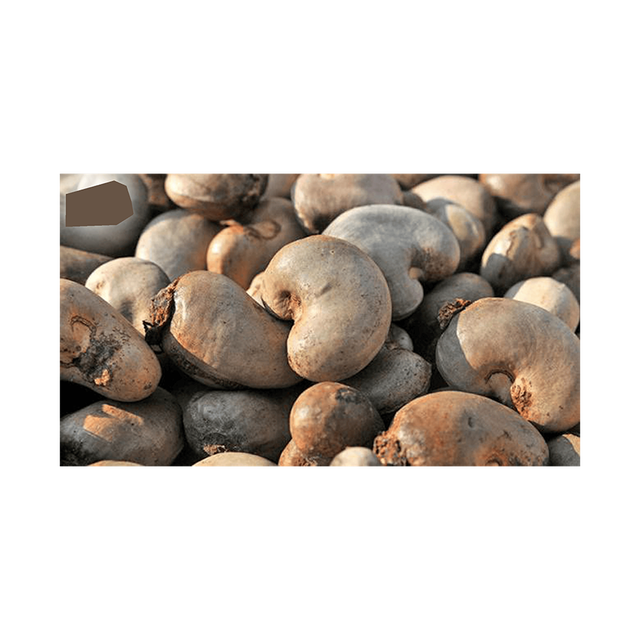 Raw Cashew Nuts