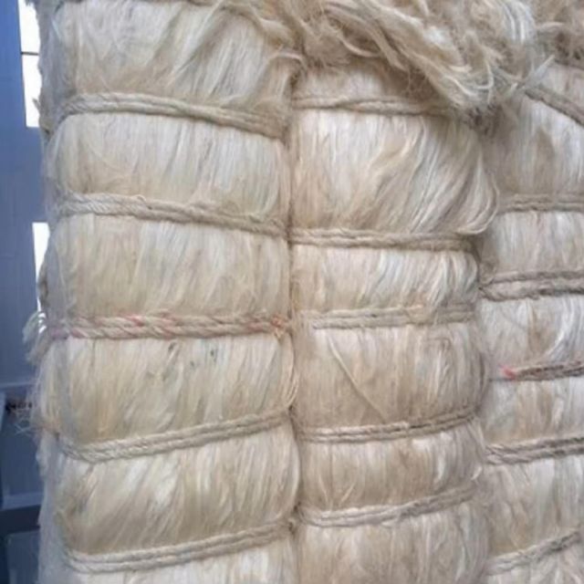 Sisal Fiber Image 2