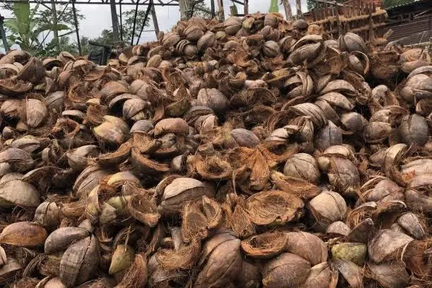 Pile of Coconut Shells