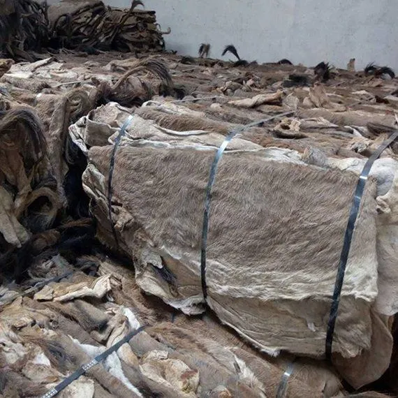 Donkey Hide Image 5