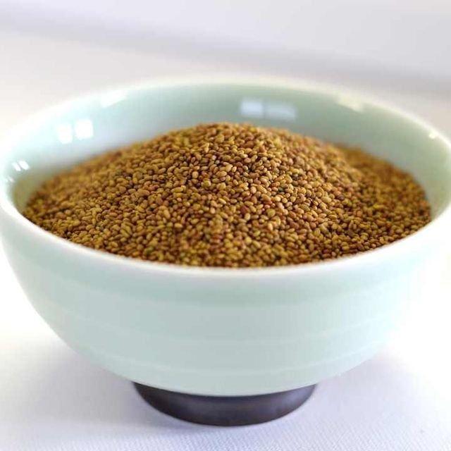 Alfalfa Seed for Livestock Nutrition