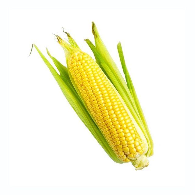 Reliable Yellow Corn
