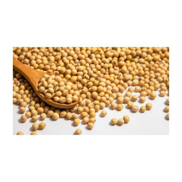 Newest Yellow Soybeans - Market Manufacturer Price