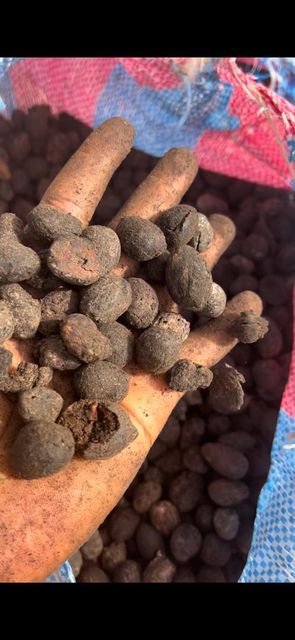 Shea Nut Product 1