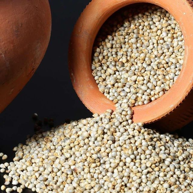 Pearl Millet in Storage Bin