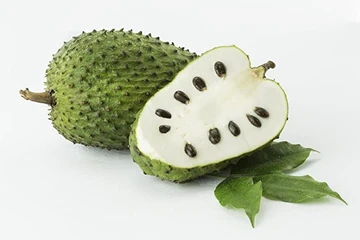 Soursop fruit - medium size, natural color