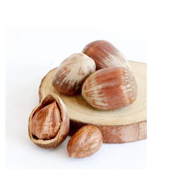 Raw Hazelnut Image 2