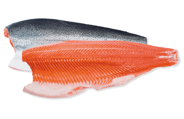 Rainbow Trout Fillet with Skin