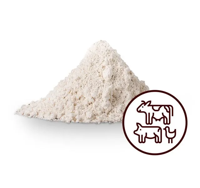 Chestnut Flour Image 2