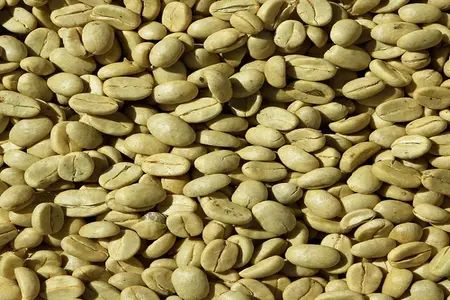 Green Coffee Beans