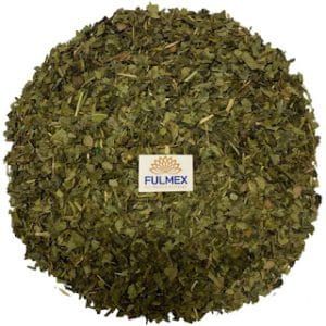 Green Tea TH