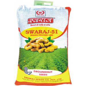 Sowing Groundnut Seeds - Research Variety
