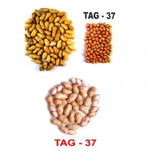 Notified Groundnut Seeds