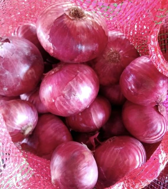 Fresh Onions Image 2