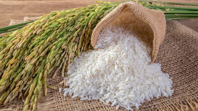 IRRI 6 White and Parboiled Rice