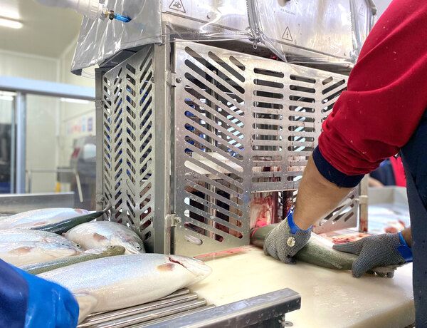 Salmon Processing Facility