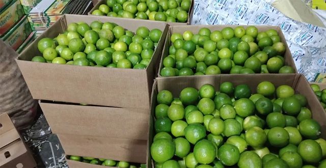 Fresh Lemon
