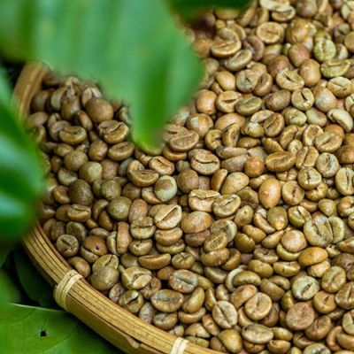 Robusta Coffee Beans