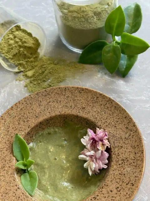 Neem Powder Product 2
