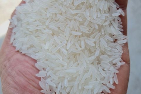 Vietnamese Jasmine Rice