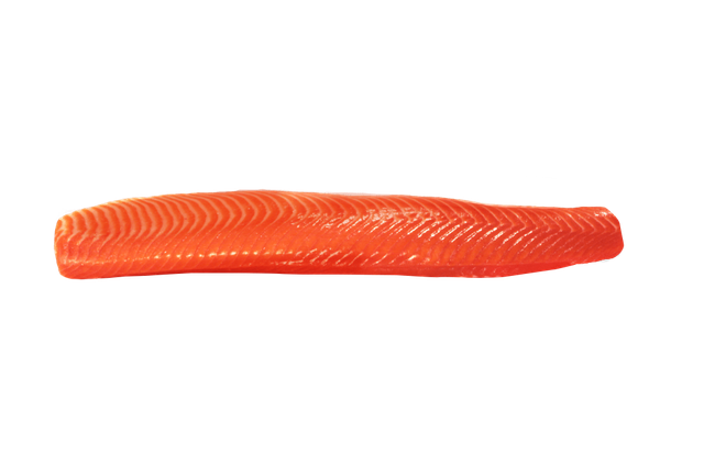 Rainbow Trout Loin Solo
