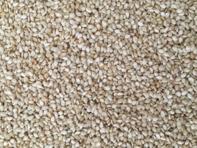 Premium Sesame Seeds